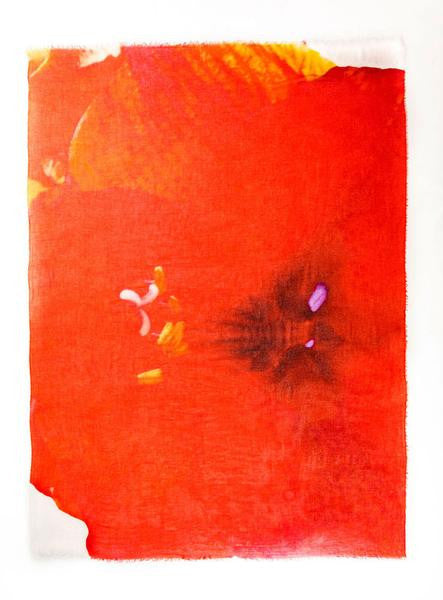 Amaryllis - Designer Luxury scarf by Sheila Johnson Collection
