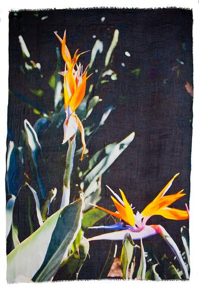 Felicity - Designer Luxury scarf by Sheila Johnson Collection