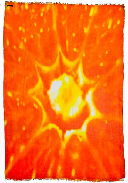 Joy! - Designer Luxury scarf by Sheila Johnson Collection