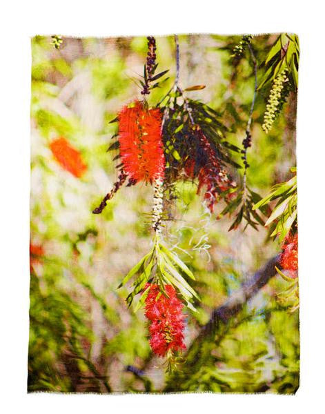 Callista - Designer Luxury scarf by Sheila Johnson Collection