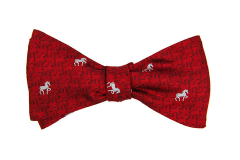 Bow Ties - Designer Luxury bow tie by Sheila Johnson Collection